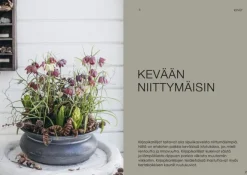 Ruukuissa Ympäri Vuoden