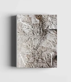 Savi Journey With Nordic Clay Kirja